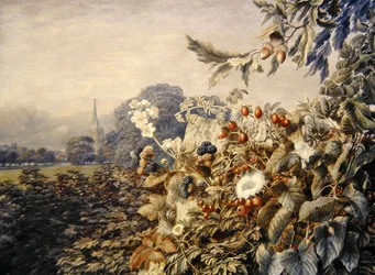 Sommerlandschaft
