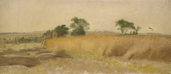 Studie eines Kornfeldes