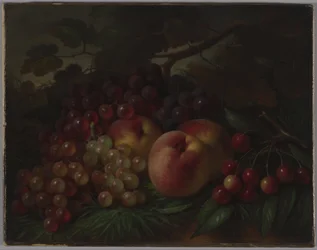Pfirsiche, Trauben und Kirschen, ca. 1860-1870