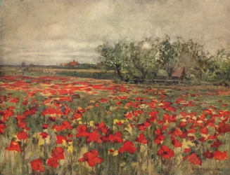 Das Mohnfeld, ca. 1900, ca. 1915