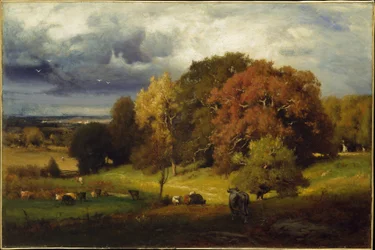 Herbst-Eichen