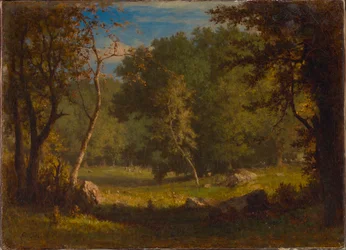 Elfenboden
