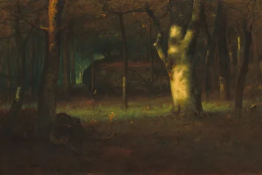 Sonnenuntergang im Wald