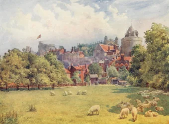 Das Schloss von den Feldern aus