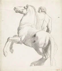 Reiter von Montecavallo