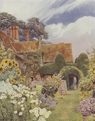Cleeve Prior, Sonnenblumen
