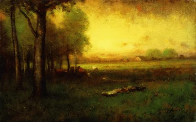 Kühe beim Weiden im Sonnenuntergang