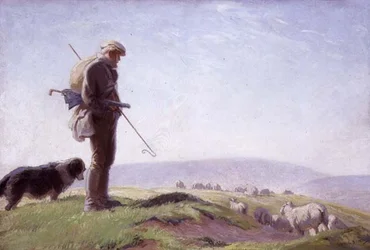 South Down Schäfer
