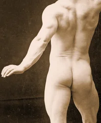 Eugen Sandow, in klassischer antiker griechisch-römischer Pose, Detail von DGC 1073442, ca. 1894