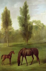 Eine kastanienbraune Stute und Fohlen in einer bewaldeten Landschaft, ca. 1761-63