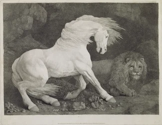 Ein von einem Löwen erschrecktes Pferd, graviert vom Künstler, veröffentlicht 1788