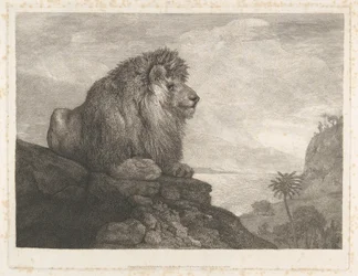 Ein Löwe (Ein auf einem Felsen ruhender Löwe)