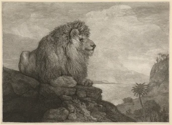 Ein Löwe [Ein Löwe ruht auf einem Felsen]
