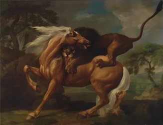 Ein Löwe greift ein Pferd an