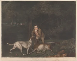 Tod der Hirschkuh