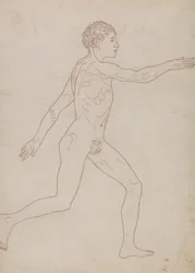 Menschliche Figur, Seitenansicht (Umrissstudie in Umkehrung von Tafel VIII)