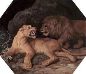 Löwe und Löwin