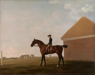 Turf, mit Jockey in Newmarket