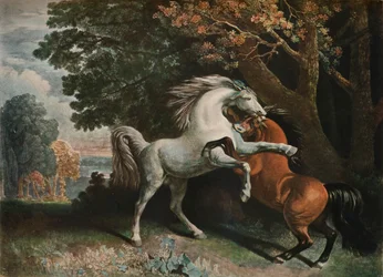 Kämpfende Pferde, 18. Jahrhundert, 1902
