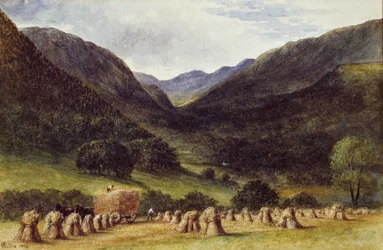 Erntezeit, Llyn Crafnant, Nordwales