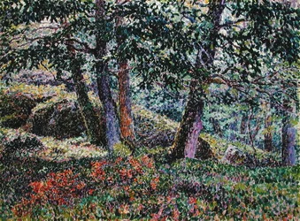 Eichen und Blaubeerbüsche