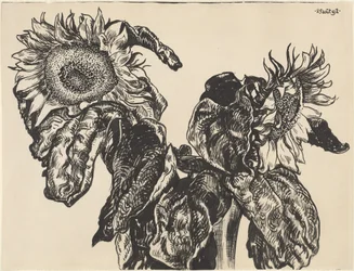 Sonnenblumen