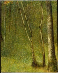 Der Wald bei Pontaubert