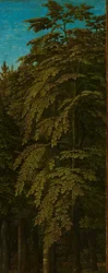 Ansicht in einem Wald, äußere rechte Flügel eines Triptychons