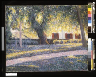 Sonnenschein unter den Bäumen