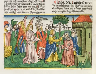 Apokryphen: Tobias stellt das Augenlicht seines Vaters Tobit mit der Galle eines Fisches wieder her, aus der Nürnberger Bibel (Biblia Sacra Germanaica)