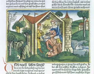 Apokryphen: Tobit wird von Spatzenkot geblendet, aus der Nürnberger Bibel (Biblia Sacra Germanaica)