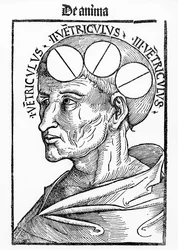 Hohlräume des Gehirns, aus Philosophia Naturalis von Albertus Magnus, veröffentlicht in Basel, 1506