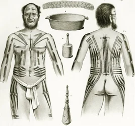 Diagramm von verschiedenen polynesischen Artefakten und Tätowierungen, 1888