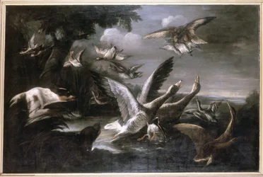 Adler, Wildgänse und Hunde
