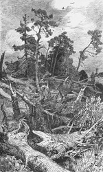 Auswirkungen eines Hurrikans