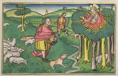 Exodus 3:1-22 Der brennende Dornbusch, und Exodus 4:1-4 Gott rüstet Mose mit dem Wunderstab aus, aus der Nürnberger Bibel (Biblia Sacra Germanaica)