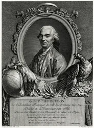 George Louis Leclerc Comte de Buffon