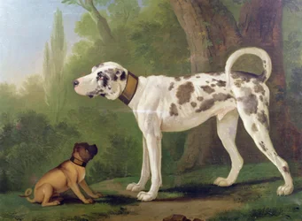 Jagdhund und Terrier