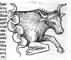 Der Stier - in Abhandlung von Johannes Angeli De Magnisconnectionibue annorum revolutionibus ac eorum perfectionibus. Augsburg, Erhard Ratdolt