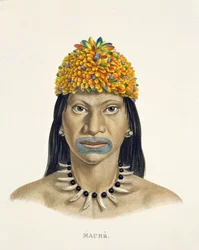 Einheimischer Mann des Mauhe-Stammes mit Kopfschmuck aus kleinen blauen und orangefarbenen Federn, aus Atlas einer Reise in Brasilien von Johann Baptist von Spix (1781-1826) und Karl Friedrich Philipp Martius (1794-1868)