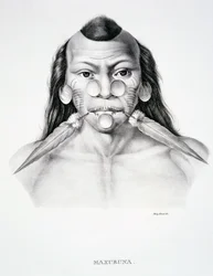 Einheimischer Mann des Maxuruna-Stammes mit Gesichtsschmuck, aus Atlas einer Reise in Brasilien von Dr. von Spix und Dr. von Martius