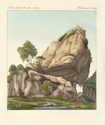 Der vermeintlich versteinerte Reuter von Fontainebleau