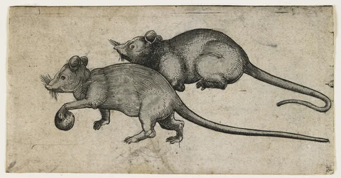 Zwei Mäuse, 1450-80