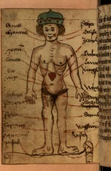 Zodiak-Diagramm, das die Position des Herzens zeigt, aus einer Sammlung von Gebeten und astrologischen Figuren