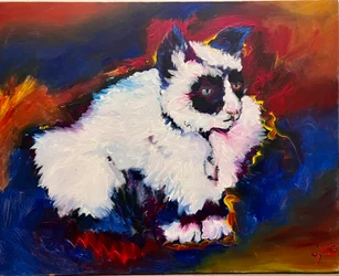 Bungee die Katze