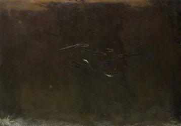 Fische in einem Aquarium