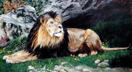 Ein Berber- oder Atlaslöwe, ca. 1890-1900