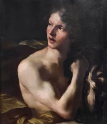 David