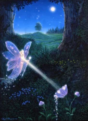 Feenblume