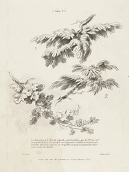 Studie von drei Zweigen mit Blättern